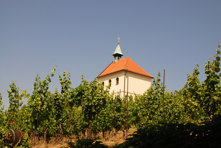 Kaple sv. Kláry s vinicí Botanická zahrada v Praze je pastvou pro oči i pro duši