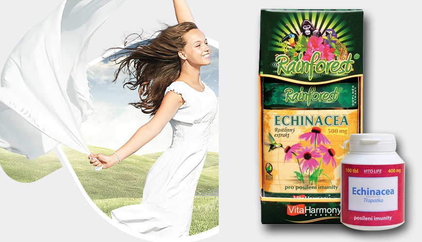 Echinacea je běžně k dostání v různých podobách Echinacea